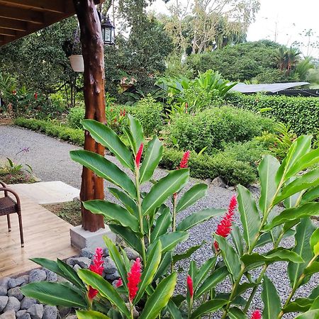 Arenal Sweet Cabins ラ・フォルトゥナ エクステリア 写真