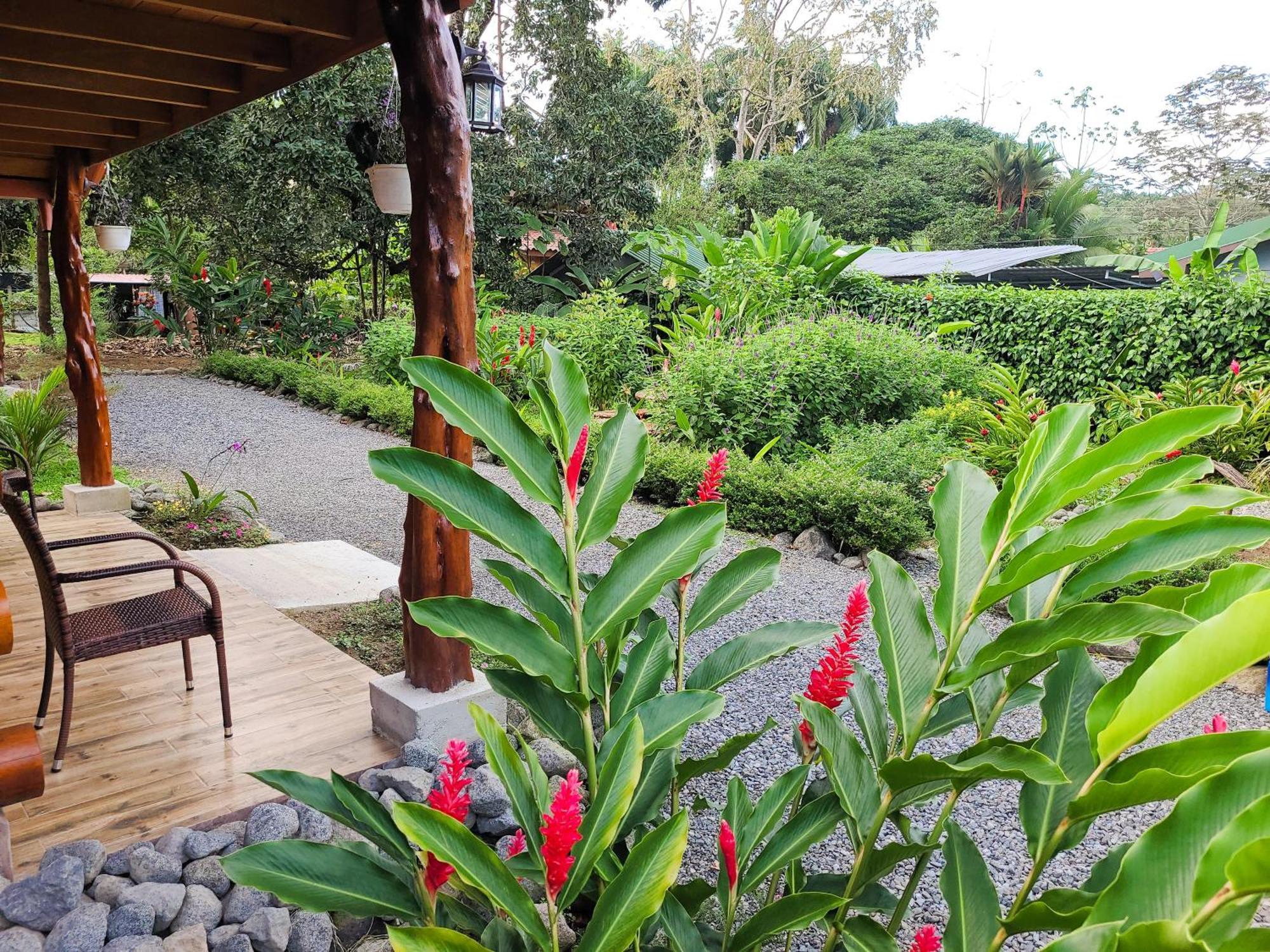 Arenal Sweet Cabins ラ・フォルトゥナ エクステリア 写真