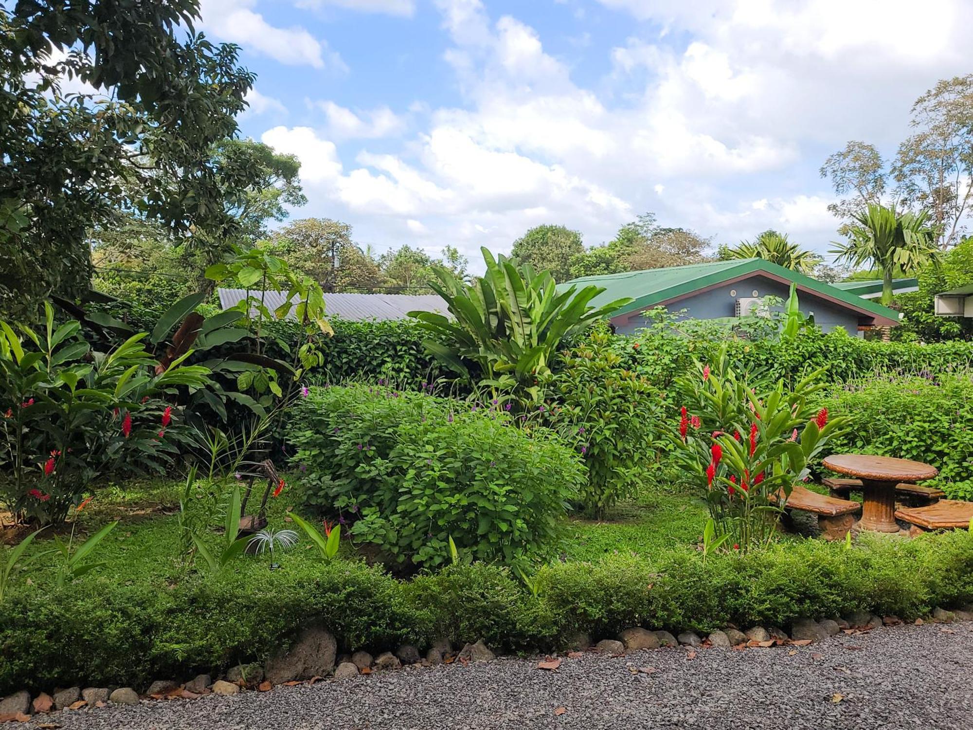 Arenal Sweet Cabins ラ・フォルトゥナ エクステリア 写真